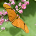 Judy Cannon Photo 27