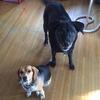 Julie Cochran Photo 14