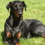 Michael Hargis Photo 20