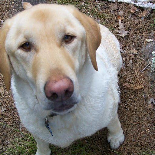 Cindy Sherwood Photo 23