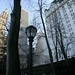 Janet York Photo 19