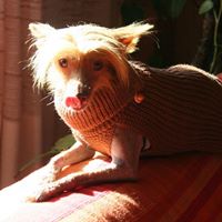 Sandra Valenti Photo 7