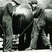 Bruce Workman Photo 33