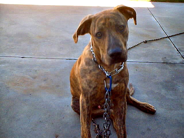 Brent Scott Photo 11