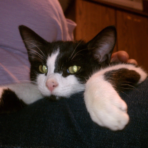 Andrew Swank Photo 3