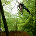 Daryl Brown Photo 40