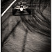 Michael Ferrari Photo 23