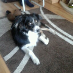 Craig Sanderson Photo 22 Craig Sanderson Photo 22