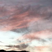 Anita Shultz Photo 10