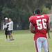 Jody Freeman Photo 14