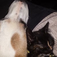 Marie Anderson Photo 19