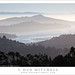 Dan Richardson Photo 46