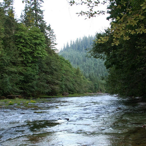 Connie Burdick Photo 5