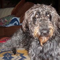 Debby Wells Photo 20