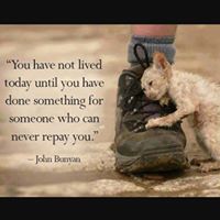 Franklin May Photo 14