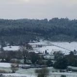 Teresa Vazquez Photo 24