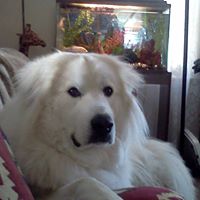 Cindy Trout Photo 14