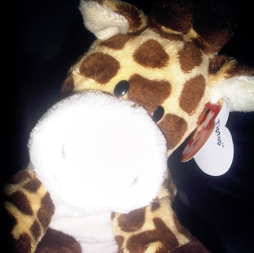 Amy Manning Photo 22