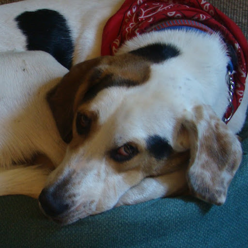 Ruth Mcintyre Photo 19