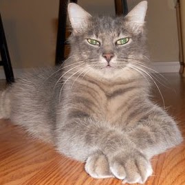 Julie Garner Photo 25