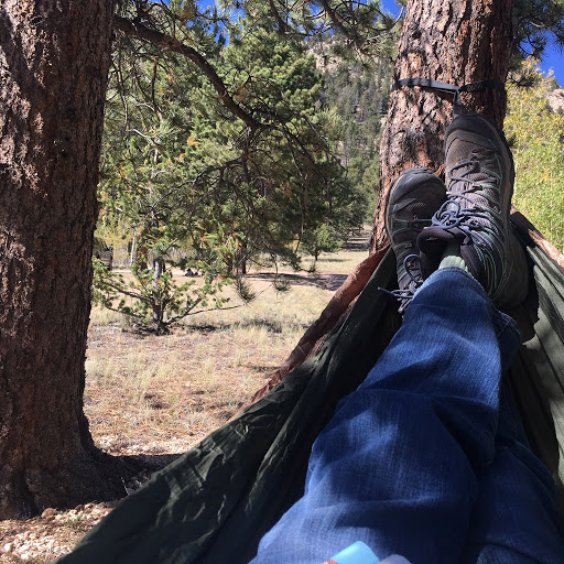 Sue Mclaughlin Photo 27