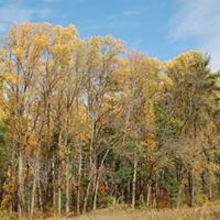 Edward Hein Photo 22