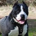 Jannette Rivera Photo 13