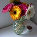 Casey Wells Photo 14