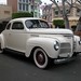 Terry Gold Photo 7