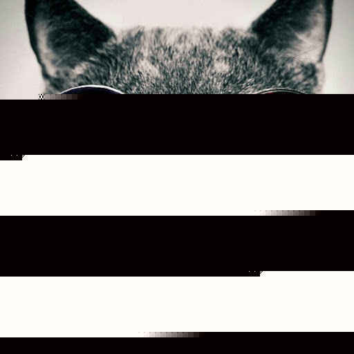 Justin Greiner Photo 2