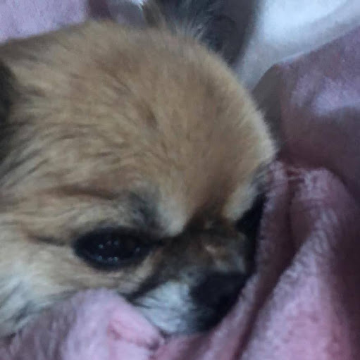 Julia Mcmurray Photo 10