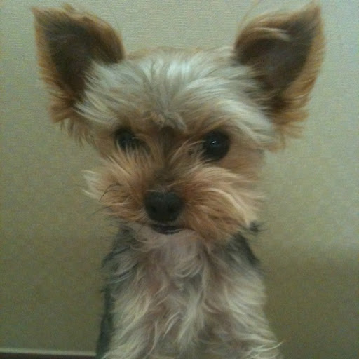 Sung Oh Photo 30