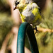 Marvin Finch Photo 7