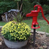Donna Shortt Photo 14