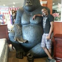 Harry Adams Photo 28