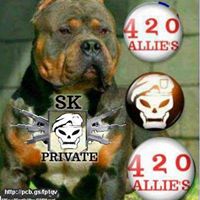 Kerry Thomas Photo 13 Kerry Thomas Photo 13