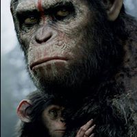 Cory Robertson Photo 32