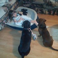 Stacy Rutledge Photo 4