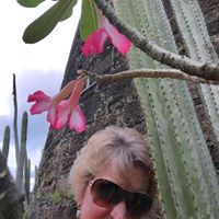 Julie Siegler Photo 5