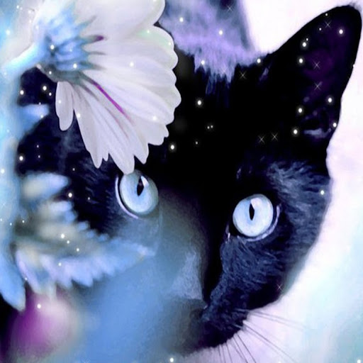 Sarah Mccain Photo 13