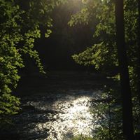 William Lehman Photo 17