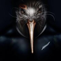 Shane Webber Photo 33