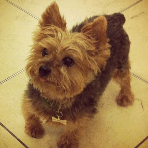 Phoebe Brown Photo 17