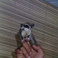 Raymond Bastian Photo 4