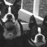 Sherry Bragg Photo 12