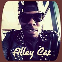 Malcolm Stephens Photo 9