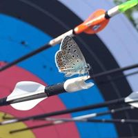 Teresa Altieri Photo 2