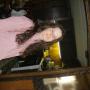 Kimberly Hammonds Photo 21