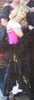 Lisa Conner Photo 13