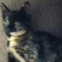 Paul Jay Photo 15 Paul Jay Photo 15